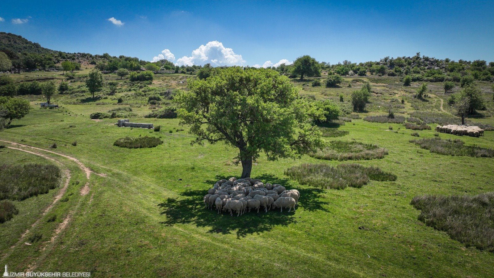 Başka Bir Tarım Sertifikasyonu uluslararası geçerlilik kazandı