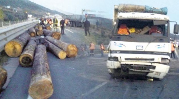 18 ton tomruk TEM’i kapattı