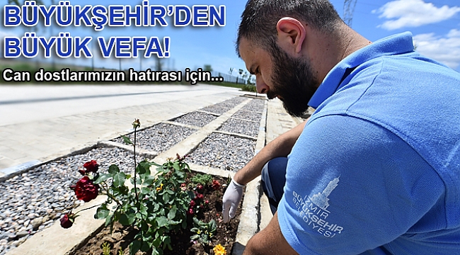 Can dostlarımızın hatırası için