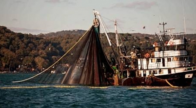 Foça'da 'Sürdürülebilir Balıkçılık Çalıştayı'