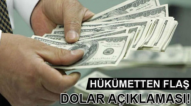 Hükümetten flaş dolar açıklaması