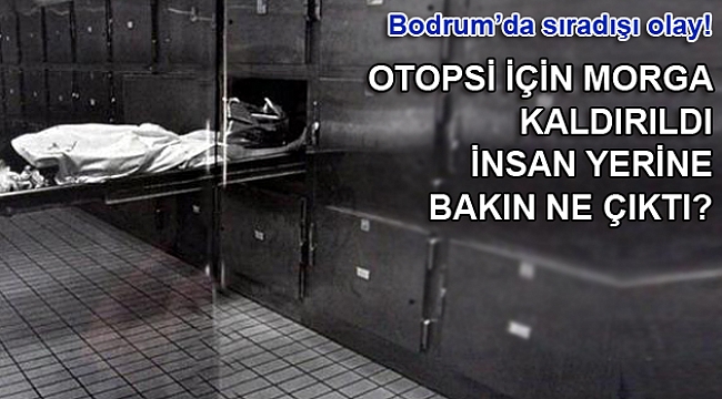Otopsi için morga kaldırılan ceset domuz leşi çıktı