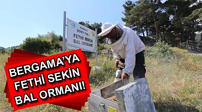 Bergama'ya Fethi Sekin bal ormanı