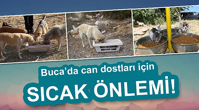 Buca Belediyesi beslenme odaklarının sayısını arttırdı