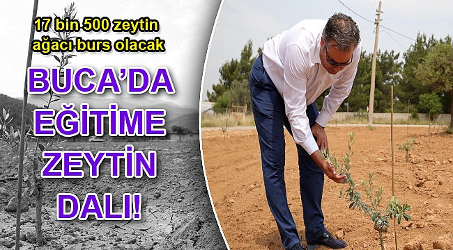 Eğitime Zeytin Dalı’nda ilk fidanlar dikildi