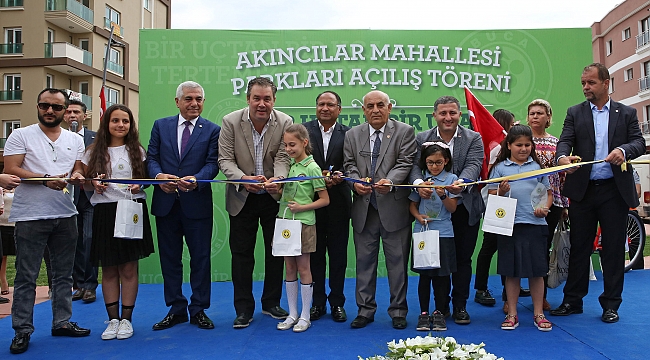 “Kamuya en yararlı şey dikilmiş zeytin ağacı”