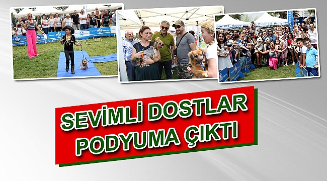 Sevimli dostlar podyuma çıktı