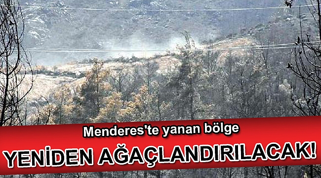Menderes'te yanan bölge kasım ayında ağaçlandırılacak
