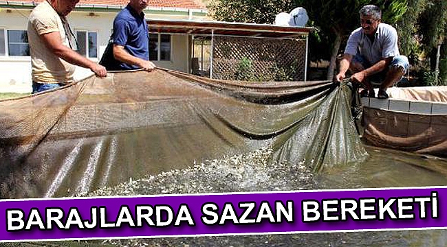 Barajlarda sazan bereketi
