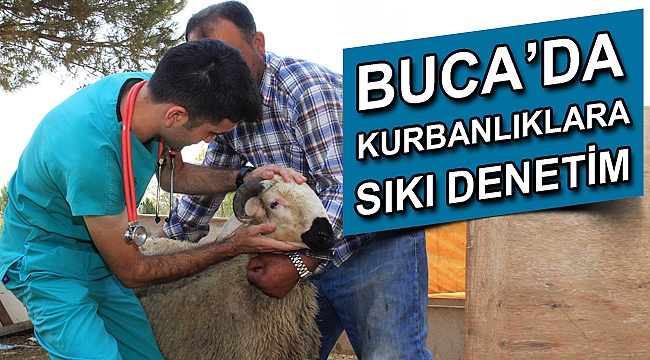 Buca’da kurbanlıklara sıkı denetim