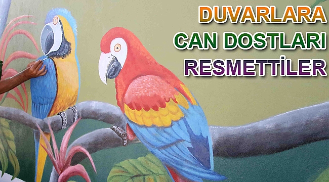 Duvarlara can dostları resmettiler