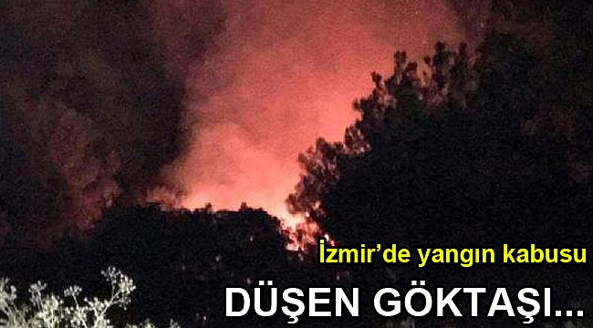 Kınık'ta orman yangını