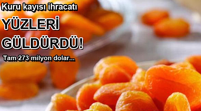 Kuru kayısı ihracatı 273 milyon dolar kazandırdı