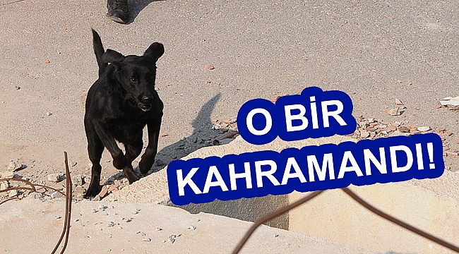 O bir kahramandı