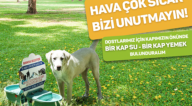 Onlara can suyu olalım