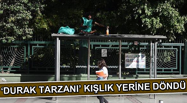 'Durak Tarzanı' kışlık yerine döndü