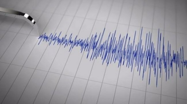 Muğla'da gece yarısı korkutan deprem