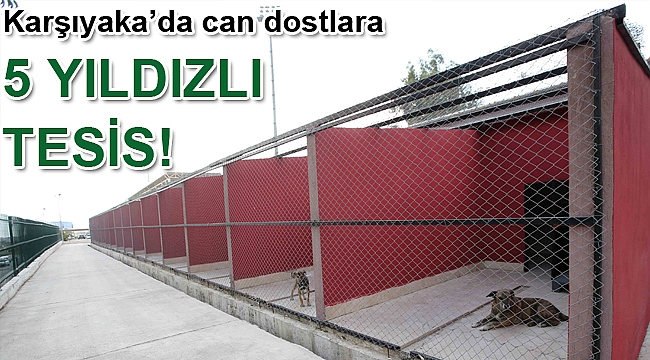 Can dostlara 5 yıldızlı tesis