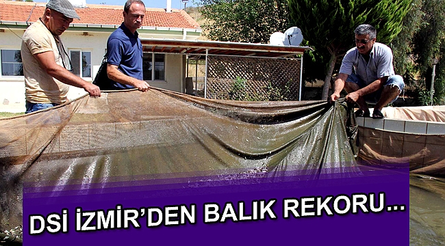 DSİ İzmir’den balık rekoru: Barajlara 2 milyon yavru balık