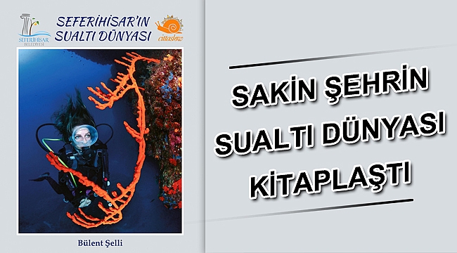 SAKİN ŞEHRİN SUALTI DÜNYASI KİTAPLAŞTI