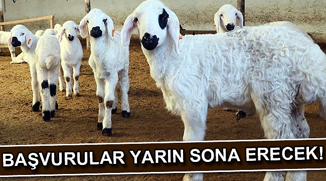 Başvurular yarın sona erecek