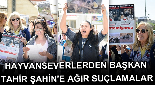 Hayvanseverlerden Başkan Tahir Şahin'e ağır suçlamalar