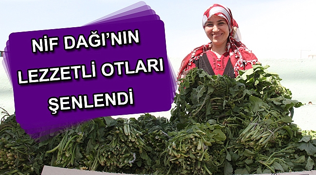 Nif Dağı’nın lezzetli otları şenlendi