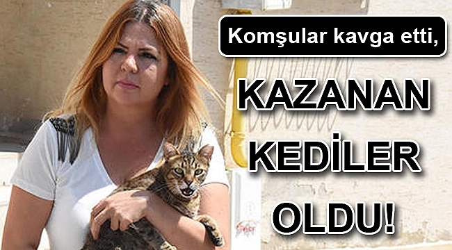 Komşular kavga etti, kazanan kediler oldu