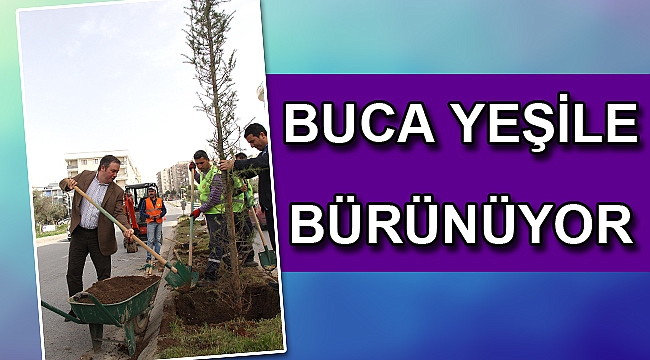 7 ayda 3 bin 90 ağaç