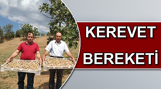 Kerevet bereketi