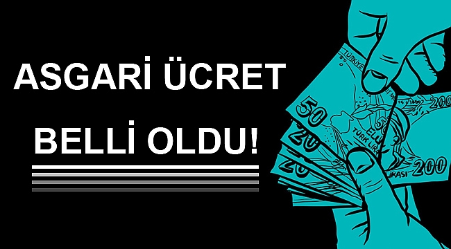 2019'da uygulanacak asgari ücret net 2 bin 20 TL
