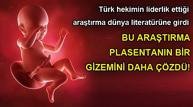 BU ARAŞTIRMA PLASENTANIN BİR GİZEMİNİ DAHA ÇÖZDÜ!