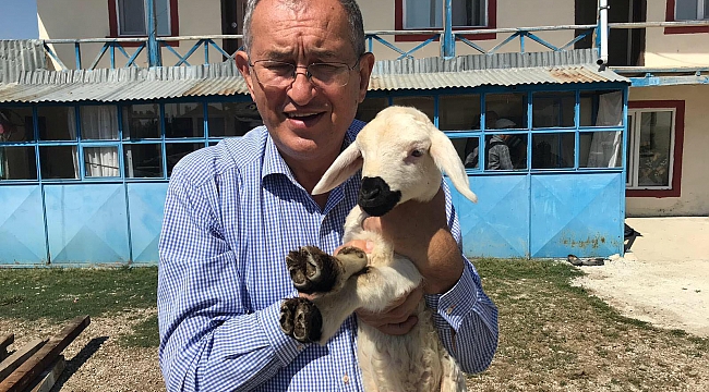 Canlı hayvan ve et ithalatına 7 milyar 919 milyon ödendi!
