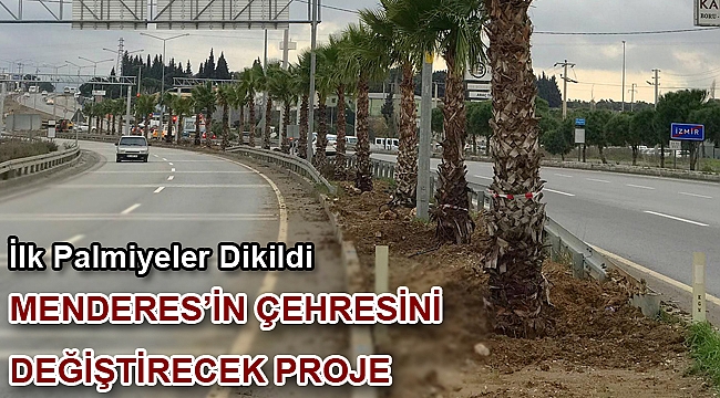 İlk Palmiyeler Dikildi