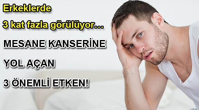 MESANE KANSERİNE YOL AÇAN 3 ÖNEMLİ ETKEN!