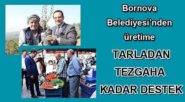 Tarladan tezgaha kadar destek