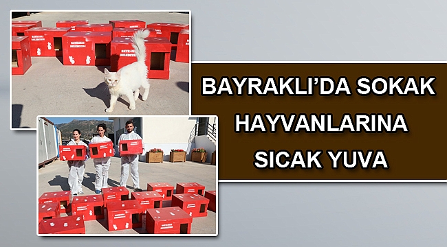 BAYRAKLI’DA SOKAK HAYVANLARINA SICAK YUVA