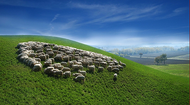 Fotoğraflarla Toskana