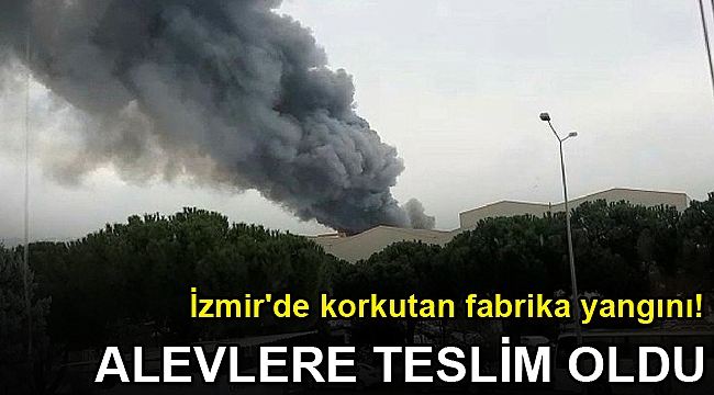 İzmir'de korkutan fabrika yangını! Çiğli'de alevlere teslim oldu