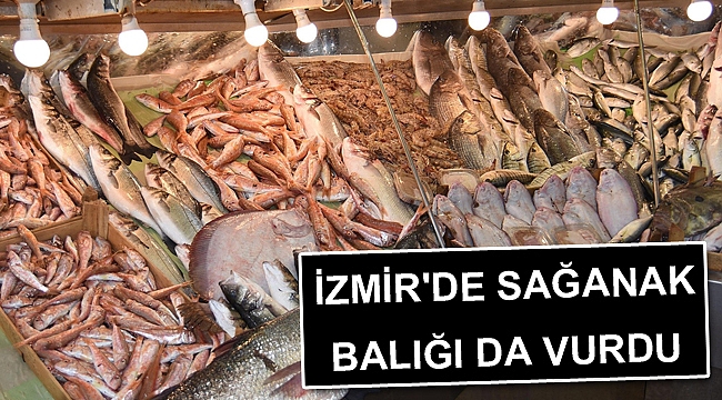 İzmir'de sağanak balığı da vurdu
