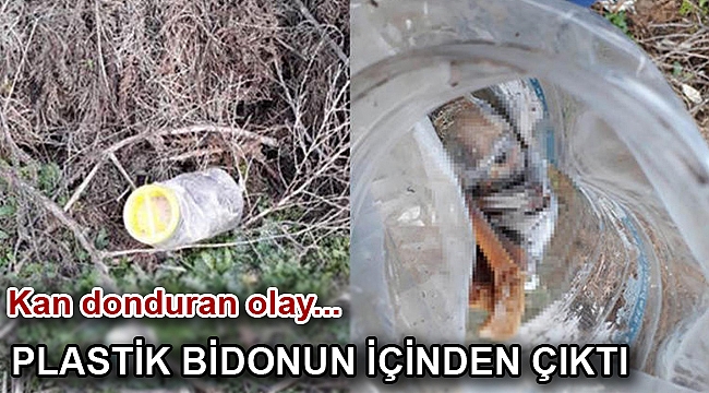 Kan donduran olay... Plastik bidonun içinden çıktı