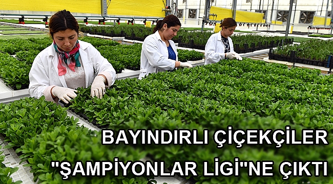 Bayındırlı çiçekçiler
