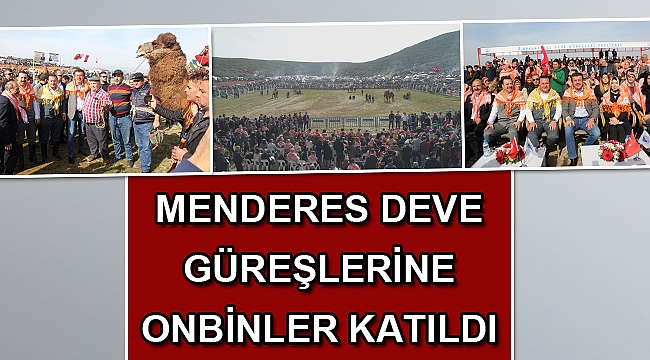 Menderes Deve Güreşlerine Onbinler Katıldı
