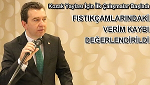 Kozak Yaylası İçin İlk Çalışmalar Başladı 