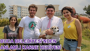 Masum canlara sıcak yuva 