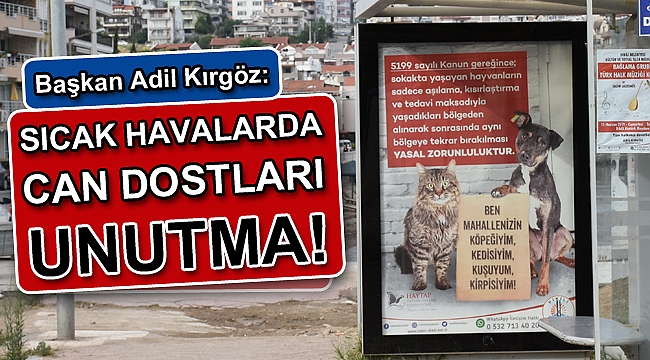 Sıcak Havalarda Can Dostları Unutma