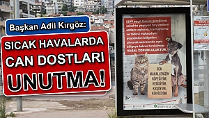 Sıcak Havalarda Can Dostları Unutma