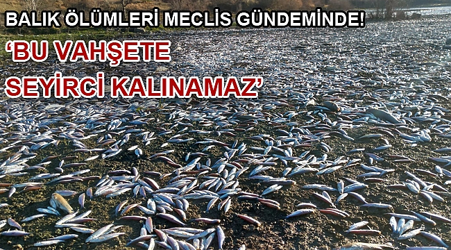 BALIK ÖLÜMLERİ MECLİS GÜNDEMİNDE!