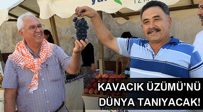 Kavacık Üzümü’nü dünya tanıyacak!