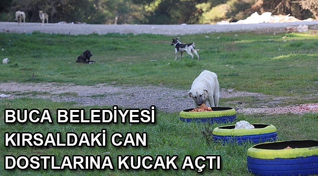 Soğuk havada can dostlarına mama desteği